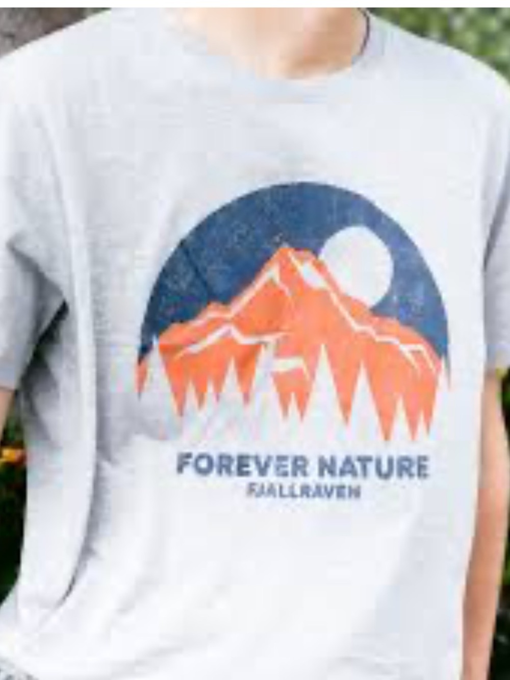 Fjallraven Kids Mountain Graphic Tee - Light Gray & Orange